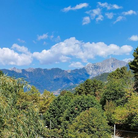 Casa Del Nonno Gino Villa Pietrasanta Ngoại thất bức ảnh