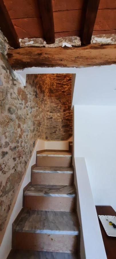 Casa Del Nonno Gino Villa Pietrasanta Ngoại thất bức ảnh
